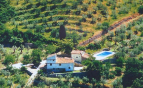 Agriturismo Montereggi Fiesole